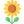 :sunflower (2):